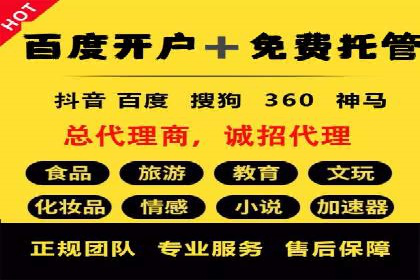 百度SEO推广策略全解析：某企业从零到一的成长历程